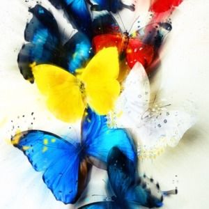 Meet your Posher, Cathy